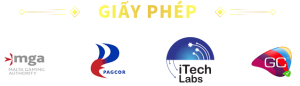 Giấy Phép
